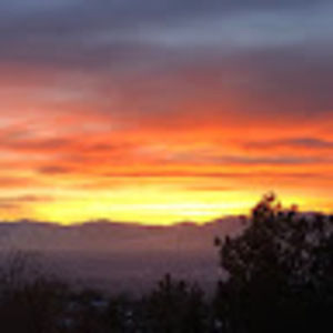 Meet your Posher, Ginger